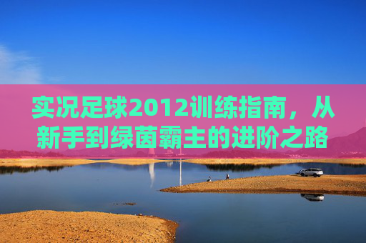 实况足球2012训练指南，从新手到绿茵霸主的进阶之路