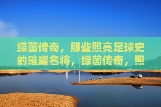绿茵传奇，那些照亮足球史的璀璨名将，绿茵传奇，照亮足球史的璀璨星辰