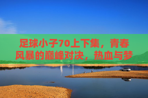 足球小子70上下集，青春风暴的巅峰对决，热血与梦想的永恒序章，足球小子，巅峰对决，热血与梦想的永恒序章