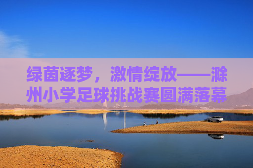 绿茵逐梦，激情绽放——滁州小学足球挑战赛圆满落幕