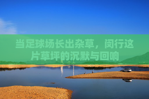 当足球场长出杂草,闵行这片草坪的沉默与回响 当足球场长出杂草,闵行这片草坪的沉默与回响