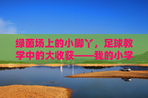 绿茵场上的小脚丫,足球教学中的大收获——我的小学足球教学心得体会 绿茵场上的小脚丫,足球教学中的大收获——我的小学足球教学心得体会