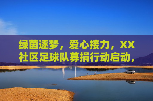 绿茵逐梦，爱心接力，XX社区足球队募捐行动启动，WPS助力透明公益