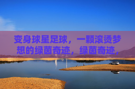 变身球星足球，一颗滚烫梦想的绿茵奇迹，绿茵奇迹，一颗滚烫的球星梦想