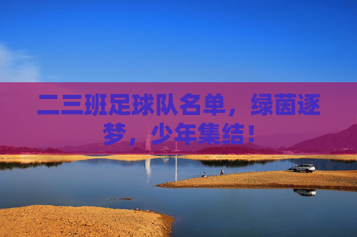 二三班足球队名单，绿茵逐梦，少年集结！