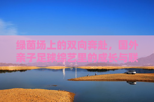 绿茵场上的双向奔赴,国外亲子足球综艺里的成长与联结 绿茵场上的双向奔赴,国外亲子足球综艺里的成长与联结