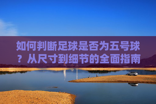 如何判断足球是否为五号球?从尺寸到细节的全面指南 如何判断足球是否为五号球?从尺寸到细节的全面指南