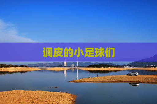 调皮的小足球们