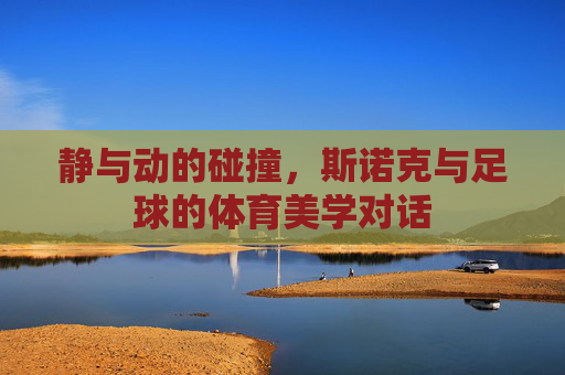 静与动的碰撞，斯诺克与足球的体育美学对话