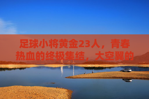 足球小将黄金23人，青春热血的终极集结，大空翼的足球梦想再启航