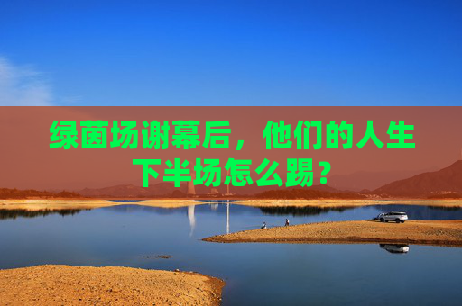 绿茵场谢幕后,他们的人生下半场怎么踢? 绿茵场谢幕后,他们的人生下半场怎么踢?
