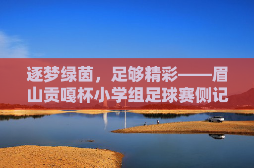 逐梦绿茵，足够精彩——眉山贡嘎杯小学组足球赛侧记
