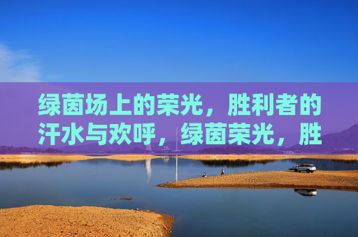 绿茵场上的荣光,胜利者的汗水与欢呼,绿茵荣光,胜利者的汗水与欢呼 绿茵场上的荣光,胜利者的汗水与欢呼,绿茵荣光,胜利者的汗水与欢呼