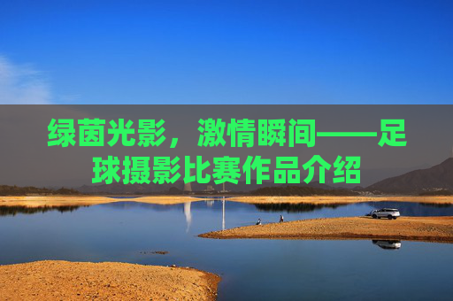 绿茵光影,激情瞬间——足球摄影比赛作品介绍 绿茵光影,激情瞬间——足球摄影比赛作品介绍