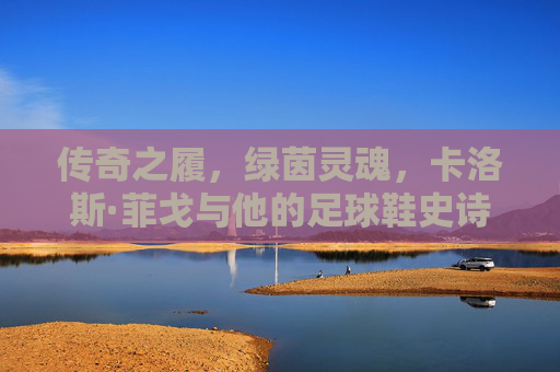 传奇之履，绿茵灵魂，卡洛斯·菲戈与他的足球鞋史诗