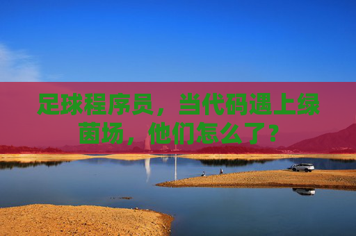 足球程序员，当代码遇上绿茵场，他们怎么了？
