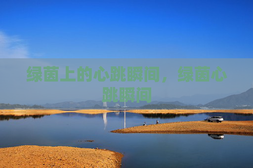 绿茵上的心跳瞬间，绿茵心跳瞬间