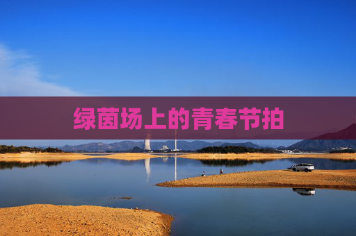 绿茵场上的青春节拍