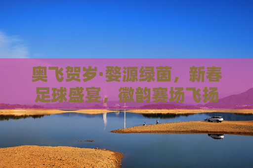 奥飞贺岁·婺源绿茵,新春足球盛宴,徽韵赛场飞扬 奥飞贺岁·婺源绿茵,新春足球盛宴,徽韵赛场飞扬