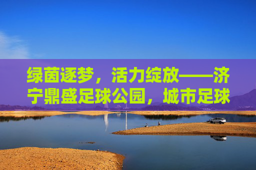 绿茵逐梦,活力绽放——济宁鼎盛足球公园,城市足球新地标 绿茵逐梦,活力绽放——济宁鼎盛足球公园,城市足球新地标