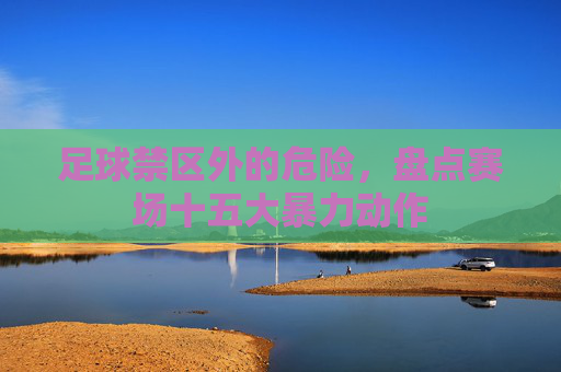足球禁区外的危险，盘点赛场十五大暴力动作