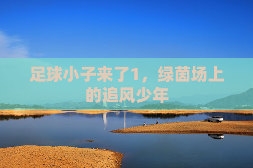 足球小子来了1，绿茵场上的追风少年