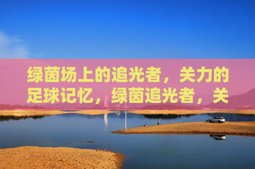 绿茵场上的追光者,关力的足球记忆,绿茵追光者,关力的足球记忆 绿茵场上的追光者,关力的足球记忆,绿茵追光者,关力的足球记忆