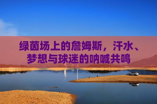 绿茵场上的詹姆斯，汗水、梦想与球迷的呐喊共鸣