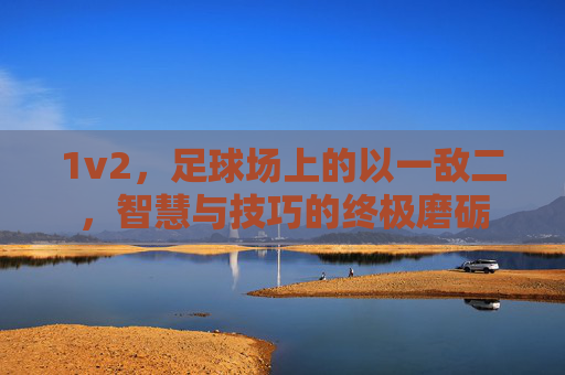 1v2，足球场上的以一敌二，智慧与技巧的终极磨砺
