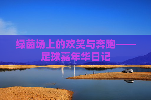 绿茵场上的欢笑与奔跑——足球嘉年华日记
