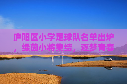 庐阳区小学足球队名单出炉，绿茵小将集结，逐梦青春赛场，庐阳区小学足球队名单出炉 绿茵小将集结逐梦青春