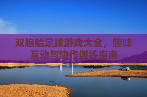 双胞胎足球游戏大全，趣味互动与协作训练指南