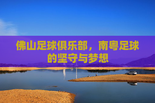 佛山足球俱乐部，南粤足球的坚守与梦想