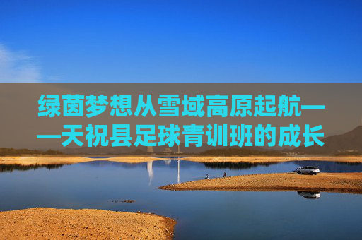 绿茵梦想从雪域高原起航——天祝县足球青训班的成长故事，雪域高原的绿茵梦想，天祝县足球青训班成长