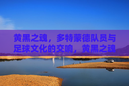 黄黑之魂，多特蒙德队员与足球文化的交响，黄黑之魂，队员与足球文化的交响