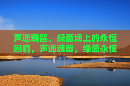 声逝魂留，绿茵场上的永恒回响，声逝魂留，绿茵永恒回响