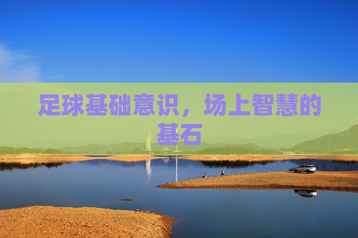 足球基础意识，场上智慧的基石