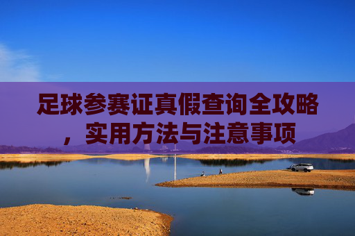 足球参赛证真假查询全攻略，实用方法与注意事项