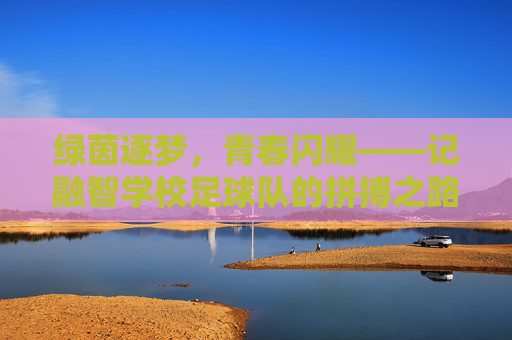 绿茵逐梦，青春闪耀——记融智学校足球队的拼搏之路