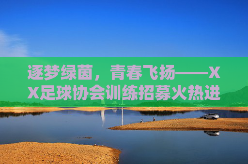 逐梦绿茵，青春飞扬——XX足球协会训练招募火热进行中！