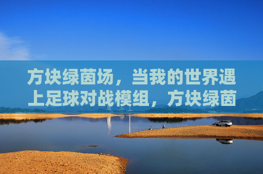 方块绿茵场,当我的世界遇上足球对战模组,方块绿茵场,我的世界遇上足球对战模组 方块绿茵场,当我的世界遇上足球对战模组,方块绿茵场,我的世界遇上足球对战模组