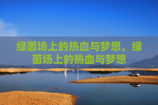 绿茵场上的热血与梦想,绿茵场上的热血与梦想 绿茵场上的热血与梦想,绿茵场上的热血与梦想