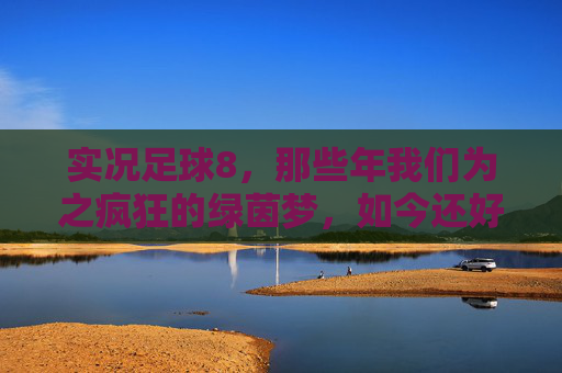 实况足球8，那些年我们为之疯狂的绿茵梦，如今还好玩吗？
