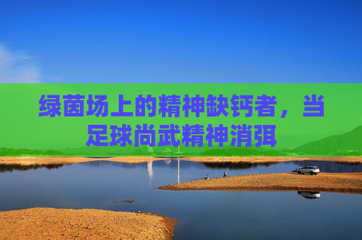 绿茵场上的精神缺钙者，当足球尚武精神消弭