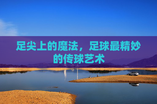 足尖上的魔法，足球最精妙的传球艺术