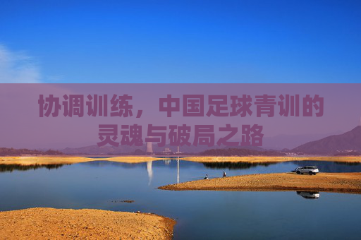 协调训练，中国足球青训的灵魂与破局之路