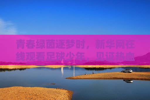 青春绿茵逐梦时,新华网在线观看足球少年,见证热血成长 青春绿茵逐梦时,新华网在线观看足球少年,见证热血成长