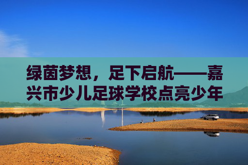 绿茵梦想，足下启航——嘉兴市少儿足球学校点亮少年足球之路，嘉兴市少儿足球学校，足下启航，点亮少年足球梦