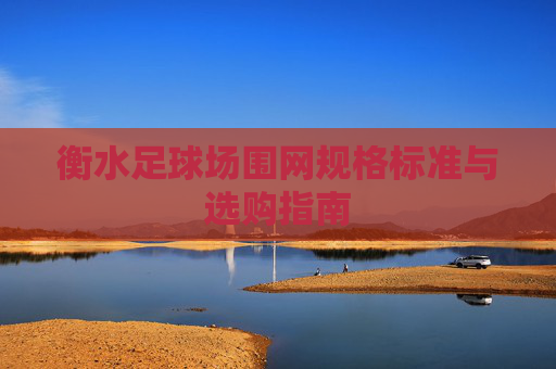 衡水足球场围网规格标准与选购指南