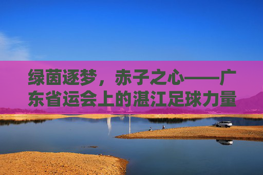 绿茵逐梦，赤子之心——广东省运会上的湛江足球力量，绿茵逐梦赤子心，湛江足球耀省运